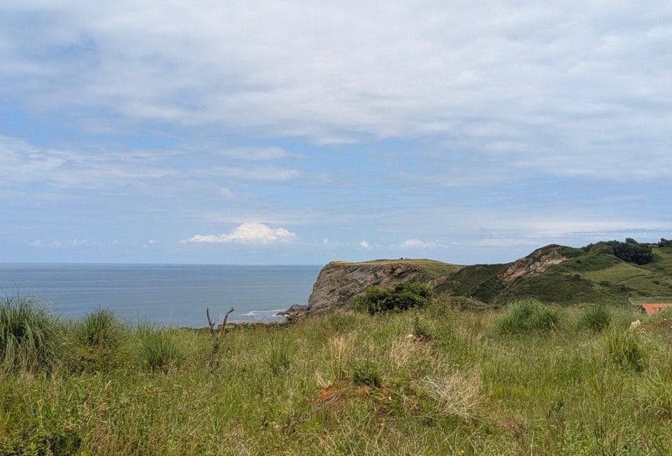 22-ein Stück auf dem Camino zurück zum Camp